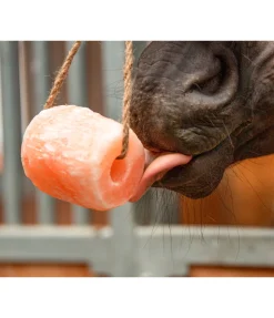 Pierre à lécher Pierres À Lécher & Accessoires