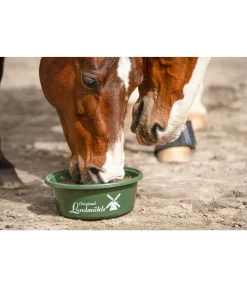 Hot Pierre à lécher Bronchial Compléments Minéraux|Aliments Complémentaires