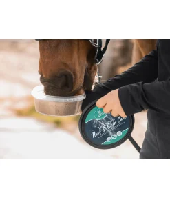 Hot Pierre à lécher Robe & Sabots Pierres À Lécher & Accessoires