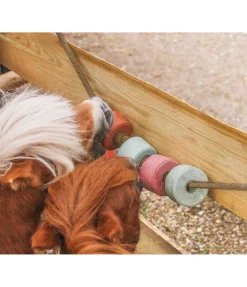 Sale Pierre à lécher Salty Lick Bronchial Pierres À Lécher & Accessoires