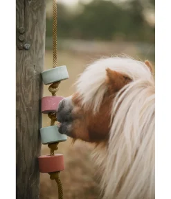 Best Pierre à lécher Salty Lick Vitamine C Pierres À Lécher & Accessoires