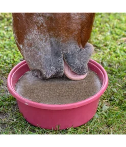 Outlet Pierre à lécher minérale Daily Compléments Minéraux|Pierres À Lécher & Accessoires