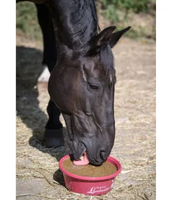 Outlet Pierre à lécher minérale Daily Compléments Minéraux|Pierres À Lécher & Accessoires