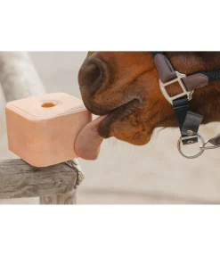 Clearance Pierre de cristal de sel pressée Pierres À Lécher & Accessoires