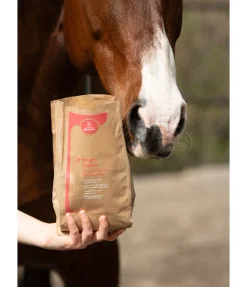 Clearance Puissance express Aliments Complémentaires