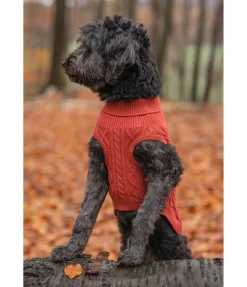 Discount Pull col roulé Maisie Peignoirs, Manteaux Polaire Et Pull-Overs