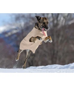 Discount Pull col roulé Maisie Peignoirs, Manteaux Polaire Et Pull-Overs