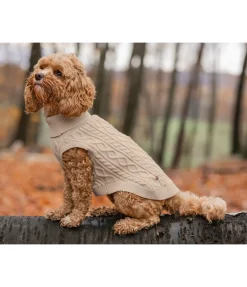 Discount Pull col roulé Maisie Peignoirs, Manteaux Polaire Et Pull-Overs