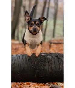 Discount Pull col roulé Maisie Peignoirs, Manteaux Polaire Et Pull-Overs