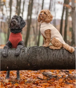 Discount Pull col roulé Maisie Peignoirs, Manteaux Polaire Et Pull-Overs