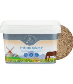 Sale Équilibre prébiotique + Aliments Complémentaires