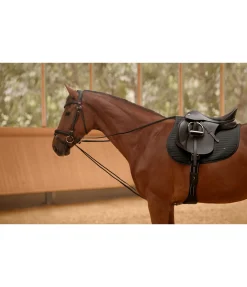 Hot Rênes allemandes Enrênements