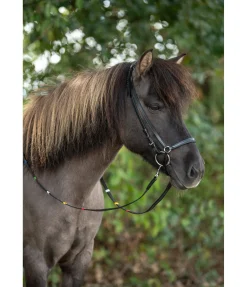 Sale Rênes éducatives Rênes