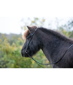 Discount Rênes en cuir Eldur Rênes
