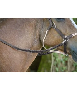 Best Rênes en cuir tressé 2 en 1 Tromm Rênes