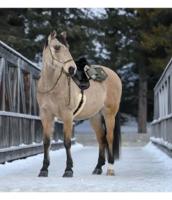 Clearance Rênes fermées en coton Trail Riding Rênes