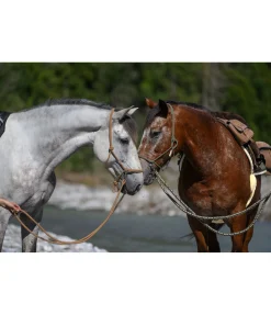 Clearance Rênes fermées en coton Trail Riding Rênes