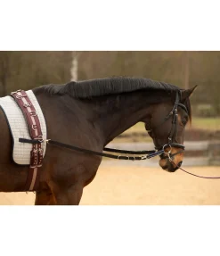 Online Rênes fixes élastiquées en nylon Enrênements