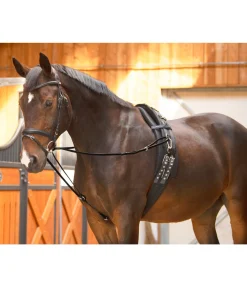 Online Rênes viennoises Quick Snap Enrênements