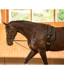 Online Rênes viennoises Quick Snap Enrênements