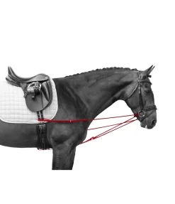 Rênes viennoises Slide II Enrênements