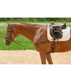 Rênes viennoises Slide II Enrênements