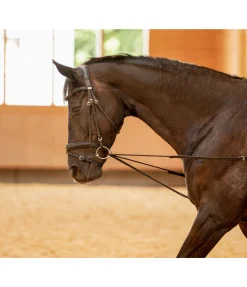 Rênes viennoises Slide II Enrênements