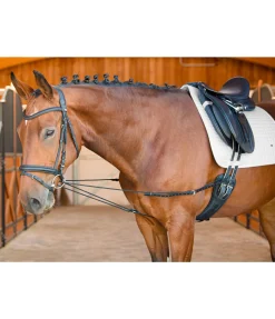 Rênes viennoises Slide II Enrênements