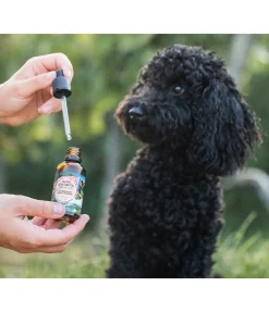 Clearance Répulsif anti-tiques pour chiens Spot On Produits De Soin Pour Chien