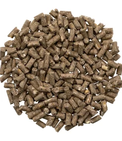 Online Sabot + Aliments Complémentaires