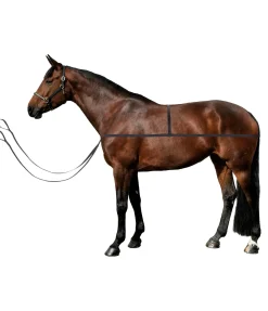 Outlet Sangle d'embarquement Quick Accessoires Pour Vans