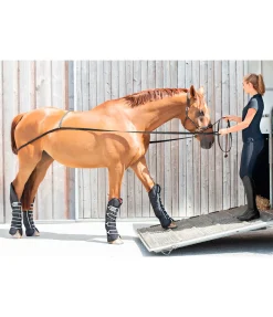 Outlet Sangle d'embarquement Quick Accessoires Pour Vans