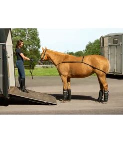 Outlet Sangle d'embarquement Quick Accessoires Pour Vans