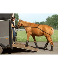 Outlet Sangle d'embarquement Quick Accessoires Pour Vans