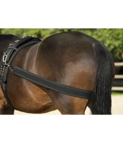 Clearance Sangle élastique pour cheval Enrênements