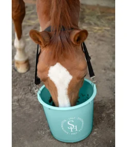Sale Seau alimentation à suspendre Seaux & Mangeoires|Équipement Pour Le Box