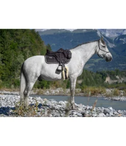 Outlet Selle légère Freemax Selles