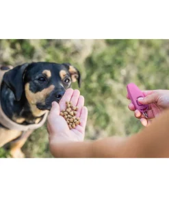 Online Sifflet combiné avec clicker Agility