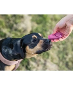 Online Sifflet combiné avec clicker Agility