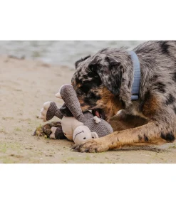 New Singe en peluche pour chien Alfie Jouets Pour Chien