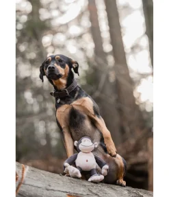 New Singe en peluche pour chien Alfie Jouets Pour Chien