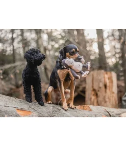 New Singe en peluche pour chien Alfie Jouets Pour Chien