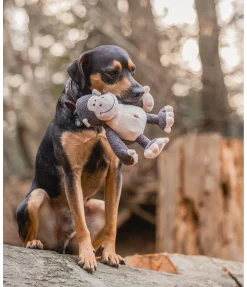 New Singe en peluche pour chien Alfie Jouets Pour Chien