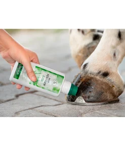 Hot Soin durcissant pour sabots Produits De Soin