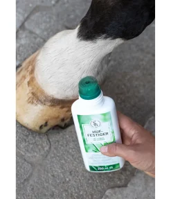 Hot Soin durcissant pour sabots Produits De Soin