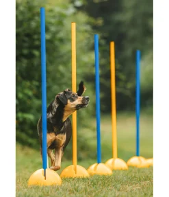 Best Supports d'agility Agility
