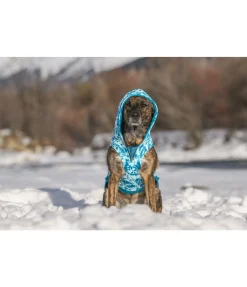 New Sweat à capuche pour chien Daphne Peignoirs, Manteaux Polaire Et Pull-Overs