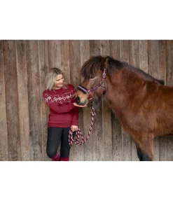 Discount Sweat Norway Spirit Femme Vestes Sweat, Vestes Polaire & Hoodies