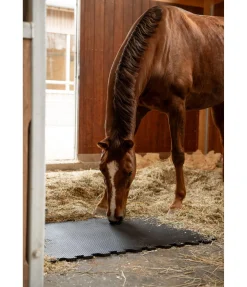 Clearance Tapis d'écurie Équipement Pour Le Box
