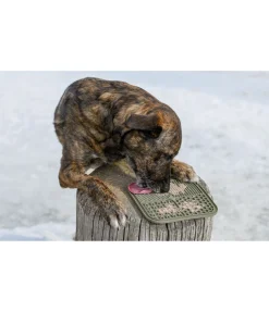 Discount Tapis de léchage pour chien Classic Line Jouets Pour Chien|Gamelles & Accessoires De Voyage Pour Chien